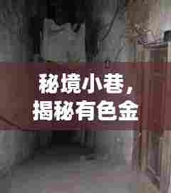 秘境小巷，有色金属期货行情下的独特小店探秘