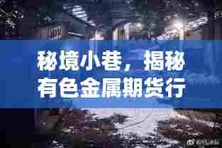 秘境小巷,有色金属期货行情下的独特小店探秘