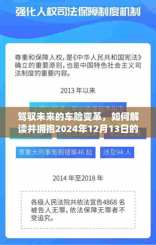 驾驭未来车险变革,拥抱新纪元,解读实时生效车险政策新动向(2024年12月13日)