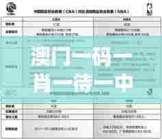 澳门一码一肖一待一中四不像348期:技术分析带来的新视角
