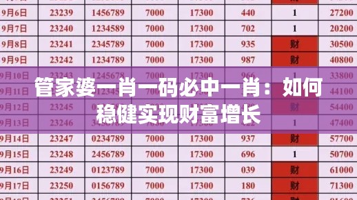 管家婆一肖一码必中一肖:如何稳健实现财富增长