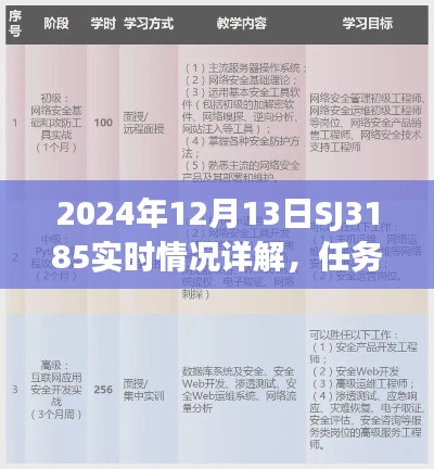 2024年SJ3185实时情况详解与任务完成指南,初学者与进阶用户技能学习手册