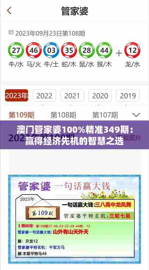 澳门管家婆100%精准349期:赢得经济先机的智慧之选