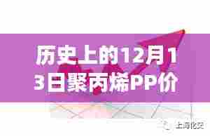 逆风翱翔,聚丙烯PP价格震荡中的励志故事与自信成就之路