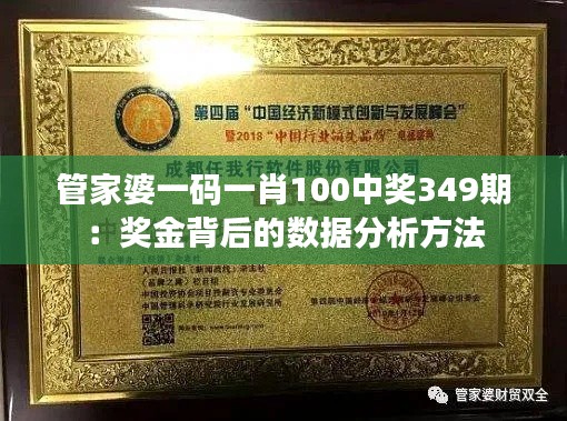 管家婆一码一肖100中奖349期:奖金背后的数据分析方法