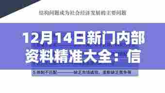 12月14日新门内部资料精准大全:信息时代的智囊团
