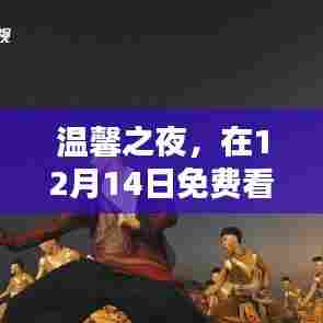 友情之夜,温馨综艺免费观看日,陪伴的奇妙时光