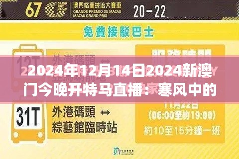 2024年12月14日2024新澳门今晚开特马直播:寒风中的热度,澳门特马赛事的不灭激情
