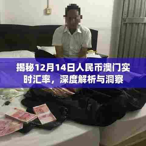 揭秘澳门人民币实时汇率,深度解析与洞察(12月14日)