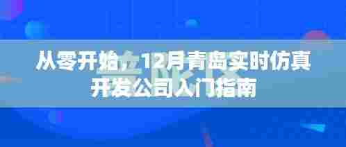 从零起步,青岛实时仿真开发公司入门指南(12月版)