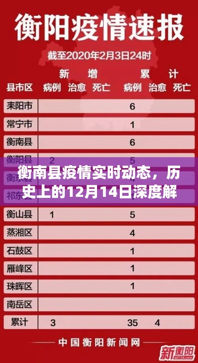 衡南县疫情实时动态,历史12月14日深度解析与查询步骤指南