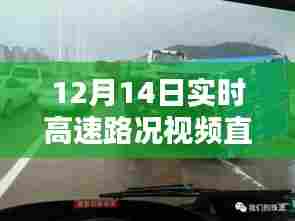12月14日实时高速路况直播,掌握信息,顺畅出行