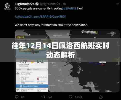 往年12月14日佩洛西航班实时动态解析
