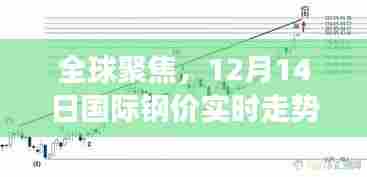 全球关注焦点，国际钢价实时走势分析（12月14日）