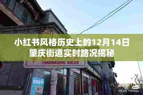 小红书风格下的肇庆街道实时路况揭秘,历史视角下的12月14日深度剖析