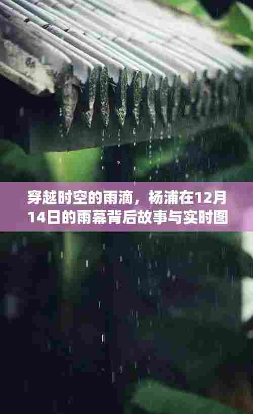 穿越时空的雨滴,杨浦12月14日雨幕背后的故事与瞬间
