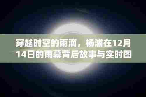 穿越时空的雨滴,杨浦12月14日雨幕背后的故事与瞬间