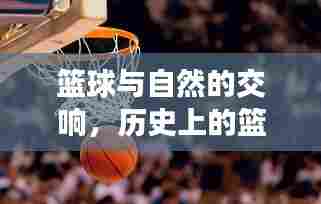 篮球与自然交响，寻找内心的宁静与盘口智慧之旅的篮球迷故事