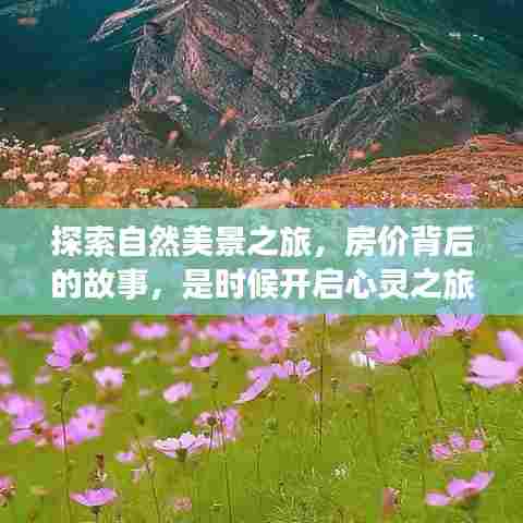 一知半解 第3页