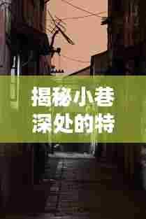 小巷深处的特色小店与虚拟币价格走势揭秘,2024年12月14日市场洞察