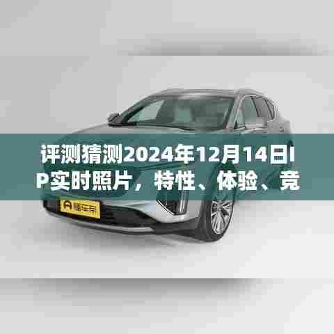 深度评测,2024年IP实时照片功能特性、用户体验、竞品对比及用户分析