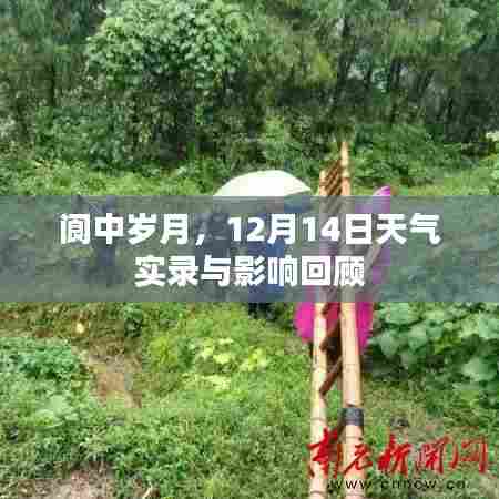 阆中岁月，12月14日天气实录及影响回顾