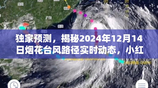 独家预测,小红书带你共抗烟花台风路径实时动态,揭秘风雨走向!