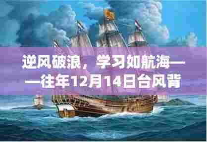 逆风破浪,台风中的励志学习之旅——往年12月14日的启示