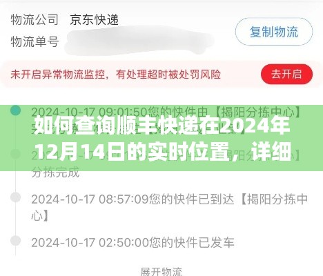 详细步骤指南,如何查询顺丰快递在指定日期(2024年12月14日)的实时位置