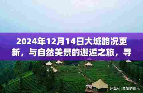大城路况更新,与自然美景相遇,探寻内心宁静之旅