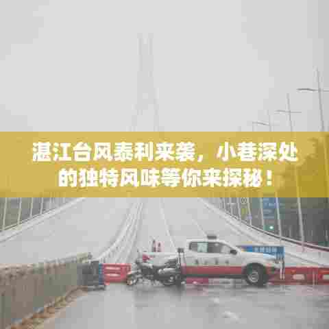 湛江台风泰利来袭,小巷深处美食成避风港湾!