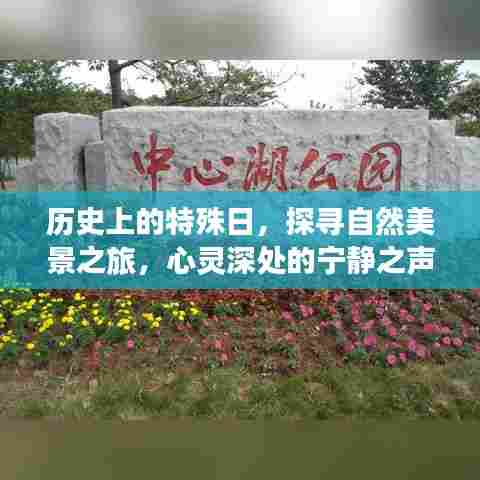探寻历史特殊日的自然美景,心灵宁静之旅启程