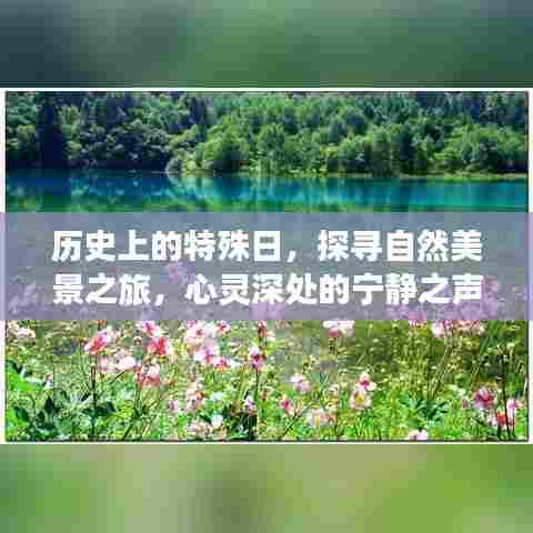 探寻历史特殊日的自然美景,心灵宁静之旅启程