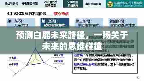 预测白鹿未来路径,思维碰撞展望未来发展