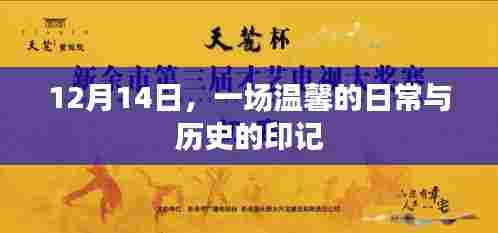 温馨日常与历史印记的交融,12月14日纪事