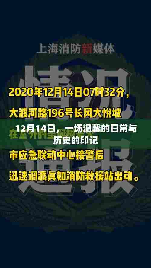 温馨日常与历史印记的交融,12月14日纪事