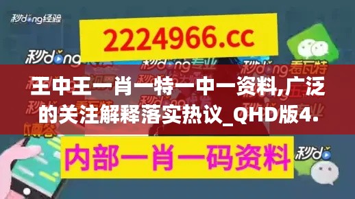 王中王一肖一特一中一资料,广泛的关注解释落实热议_QHD版4.462