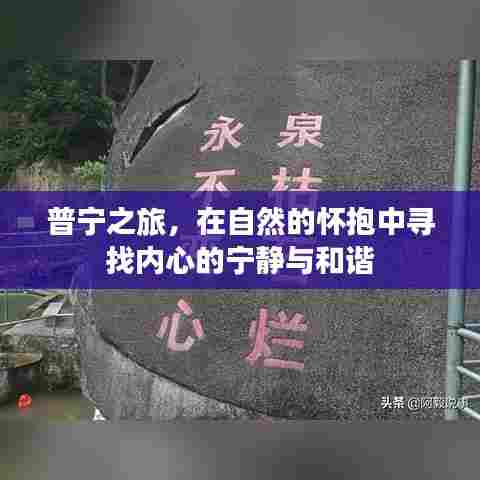 普宁之旅,自然怀抱中的内心宁静与和谐探索