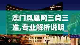 澳门凤凰网三肖三准,专业解析说明_Prime2.414