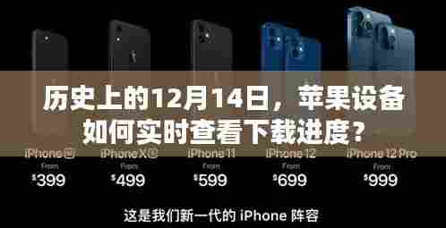 飞来飞去 第3页