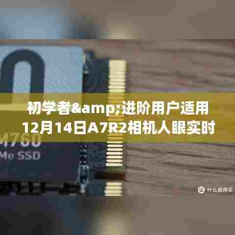 张牙舞爪 第3页