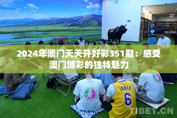 2024年澳门天天开好彩351期:感受澳门博彩的独特魅力