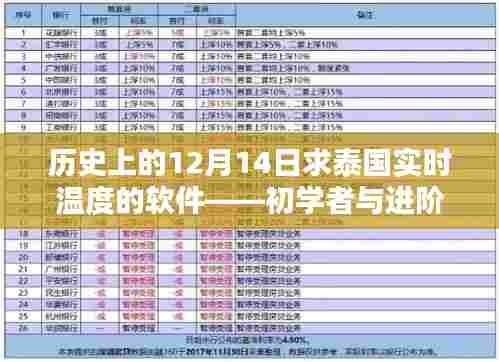 初学者与进阶用户操作指南，历史上的12月14日求泰国实时温度的软件使用教程