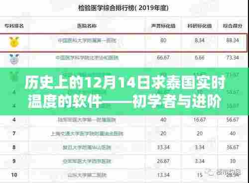 初学者与进阶用户操作指南,历史上的12月14日求泰国实时温度的软件使用教程