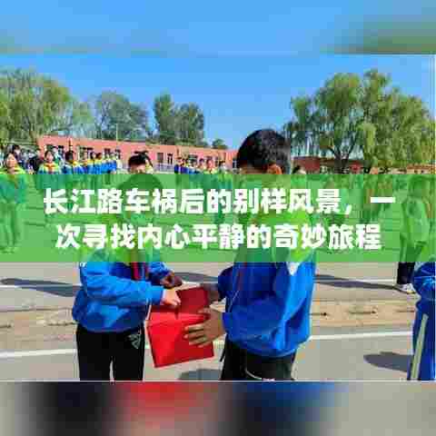 半截鸟木 第3页