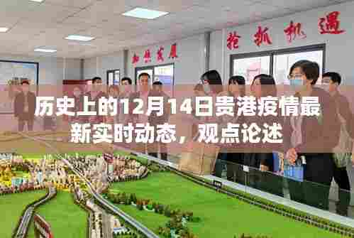 贵港疫情最新实时动态观点论述,聚焦历史视角的12月14日回顾