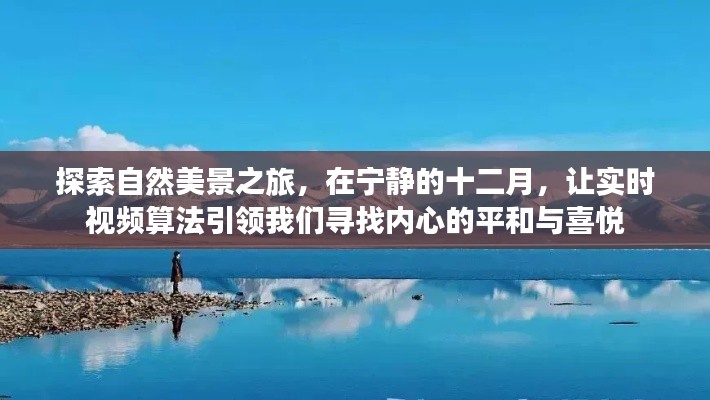 十二月自然探索之旅,实时视频算法引领内心平和与喜悦的追寻