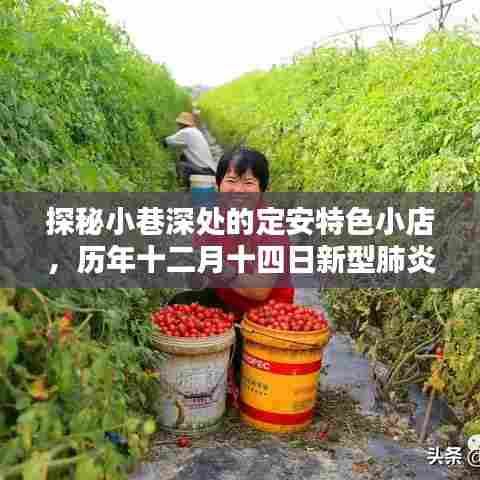 探秘定安小巷美食,历年十二月十四日疫情下的美味奇遇与特色小店