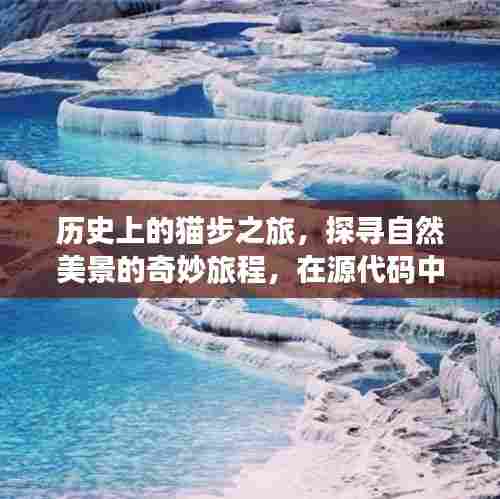 探寻猫步之旅的历史与自然美景,源代码中的心灵宁静之旅