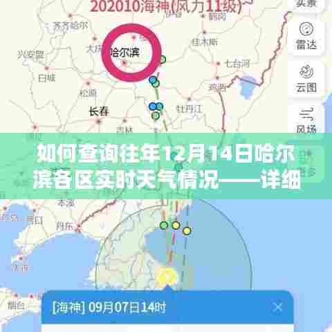 如何查询哈尔滨各区往年12月14日实时天气情况,详细步骤解析